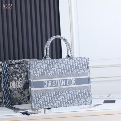 Dior Bags AAA 060